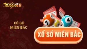 Cách Chơi Xổ Số Miền Bắc Xoso66 Chi Tiết Từ A-Z