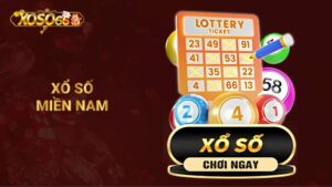 Cách Chơi Xổ Số Miền Nam Xoso66 Như Dân Thuần Thục