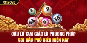 Soi Cau Lo Tam Giac La Gi Huong Dan Cach Ap Dung De Choi
