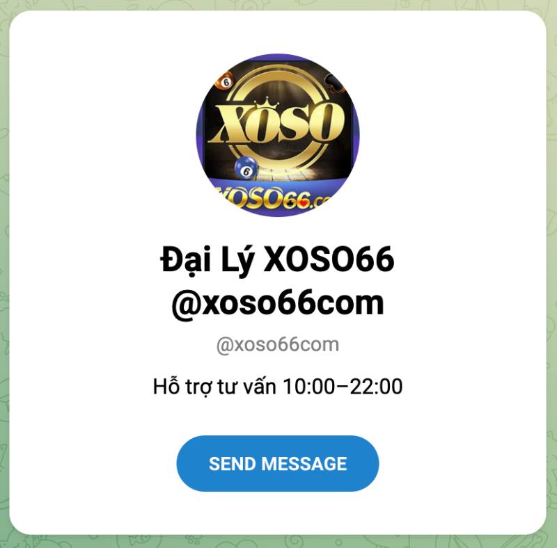 Telegram – Kênh hỗ trợ chuyên sâu và bảo mật cao