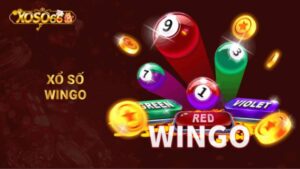 Wingo Là Gì? Cách Chơi Game Xổ Số Này Chi Tiết Tại Xoso66
