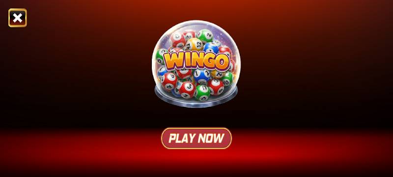 Wingo là gì?